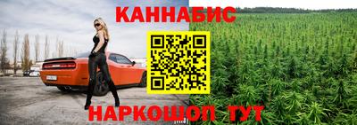 прущие крисы Камышлов
