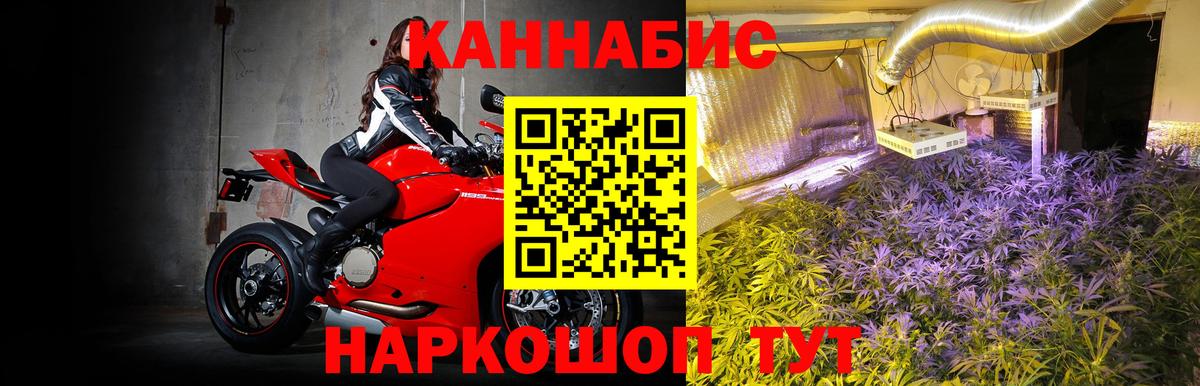 Канабис индика  Вход с VPN  Шишки марихуана Bruce Banner  Каннабис план  Ленинск-Кузнецкий 